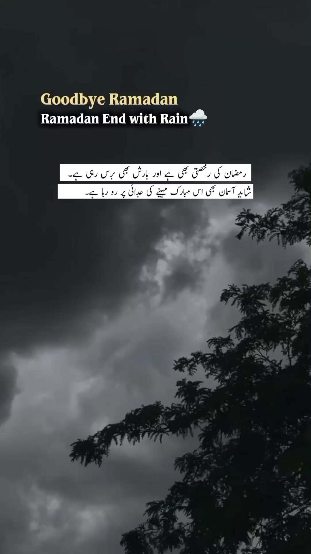 @ℍ𝕒𝕞𝕫𝕒❤🩹