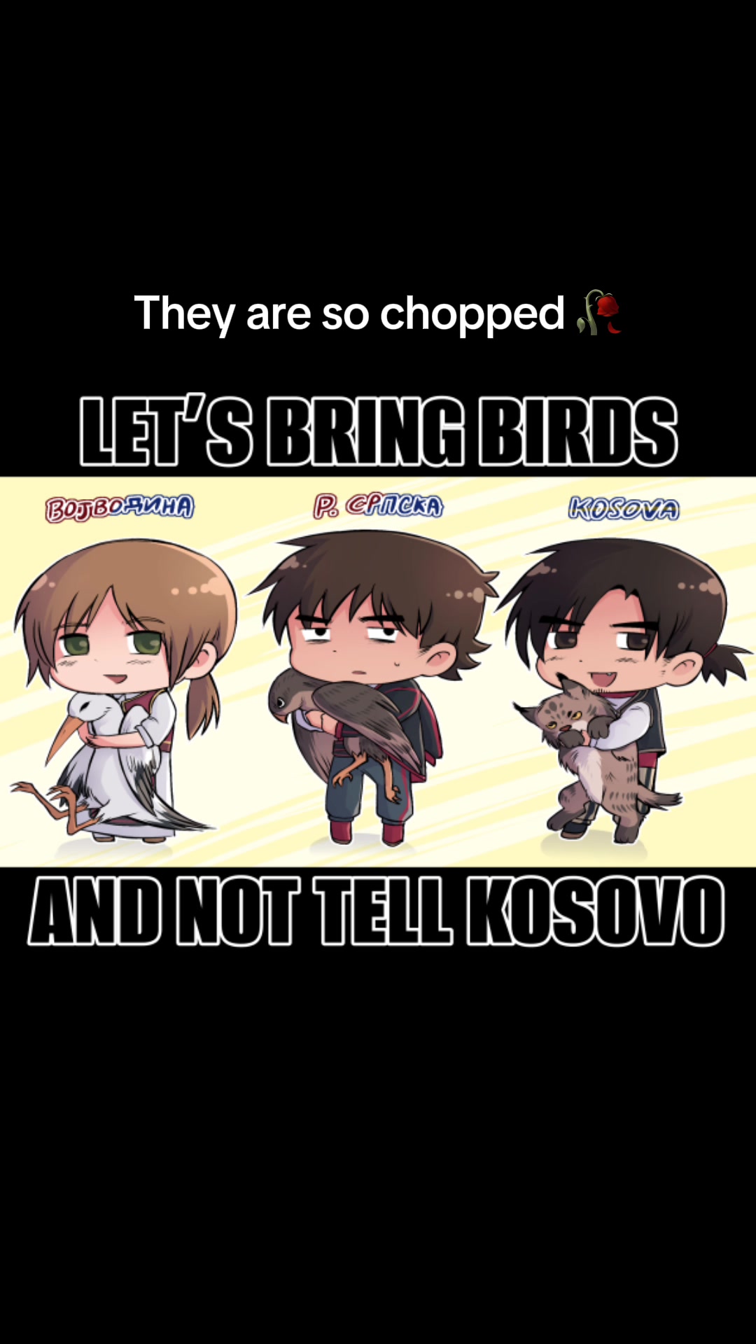 @DKN