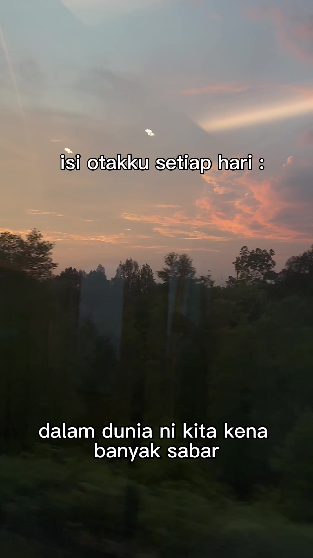 @Miwaa