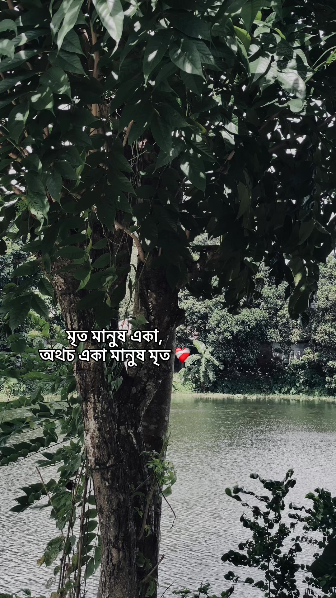 @_নিখোঁজ_