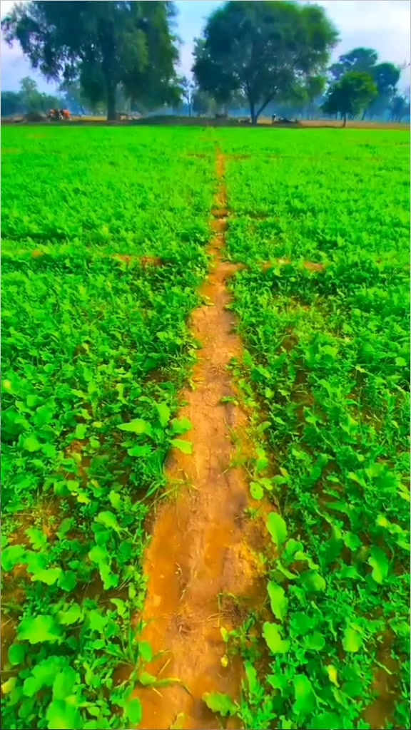 @toukabri๐น๐ณ