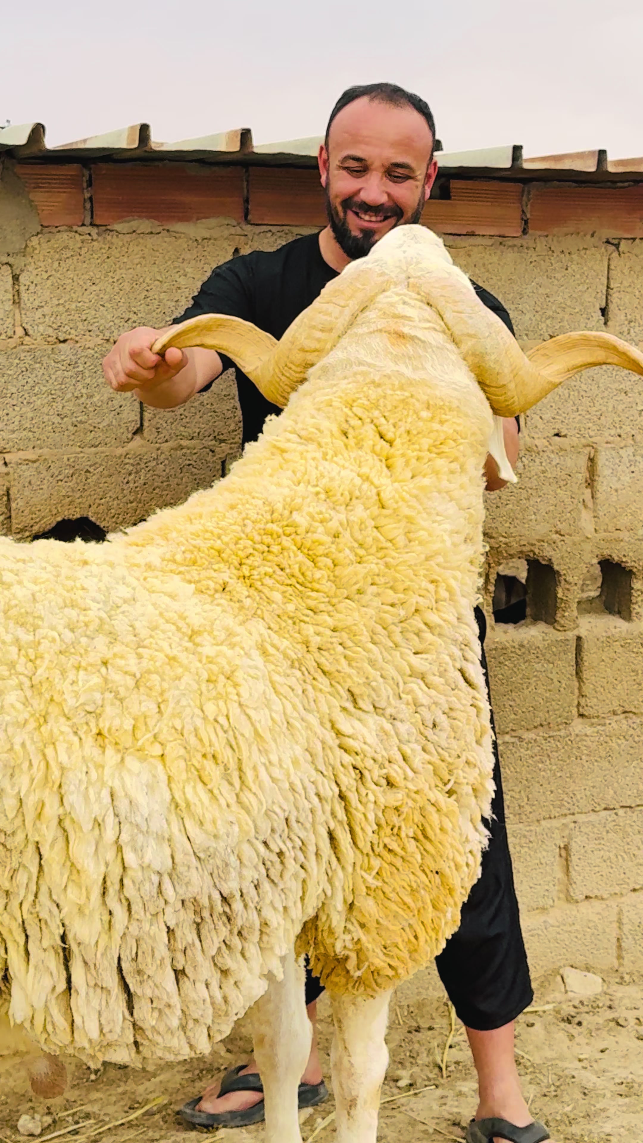 @ياسين بن زيتون
