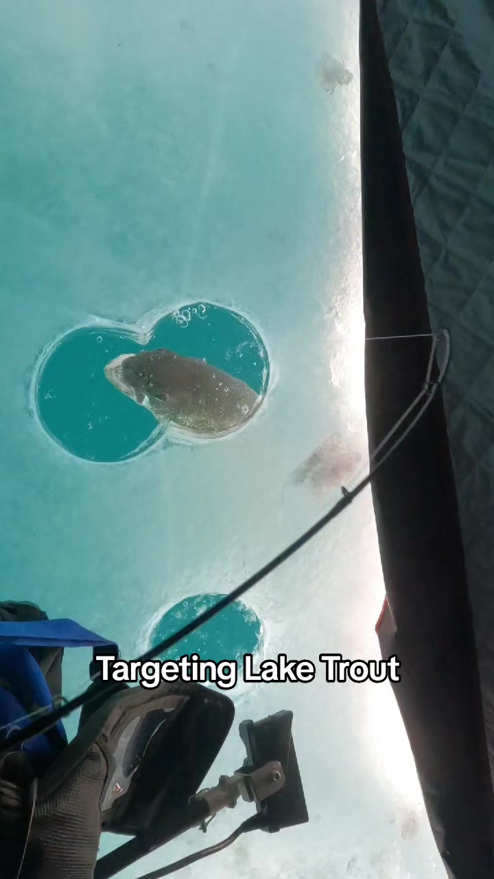 @FishingParadise