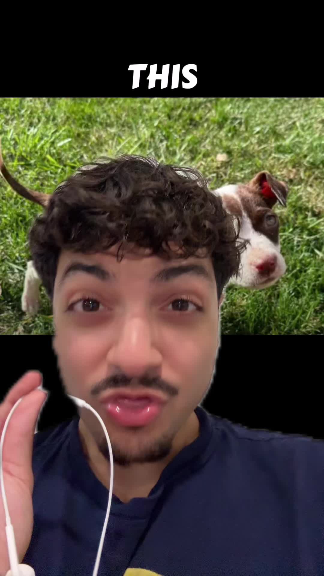 @Sbladn
