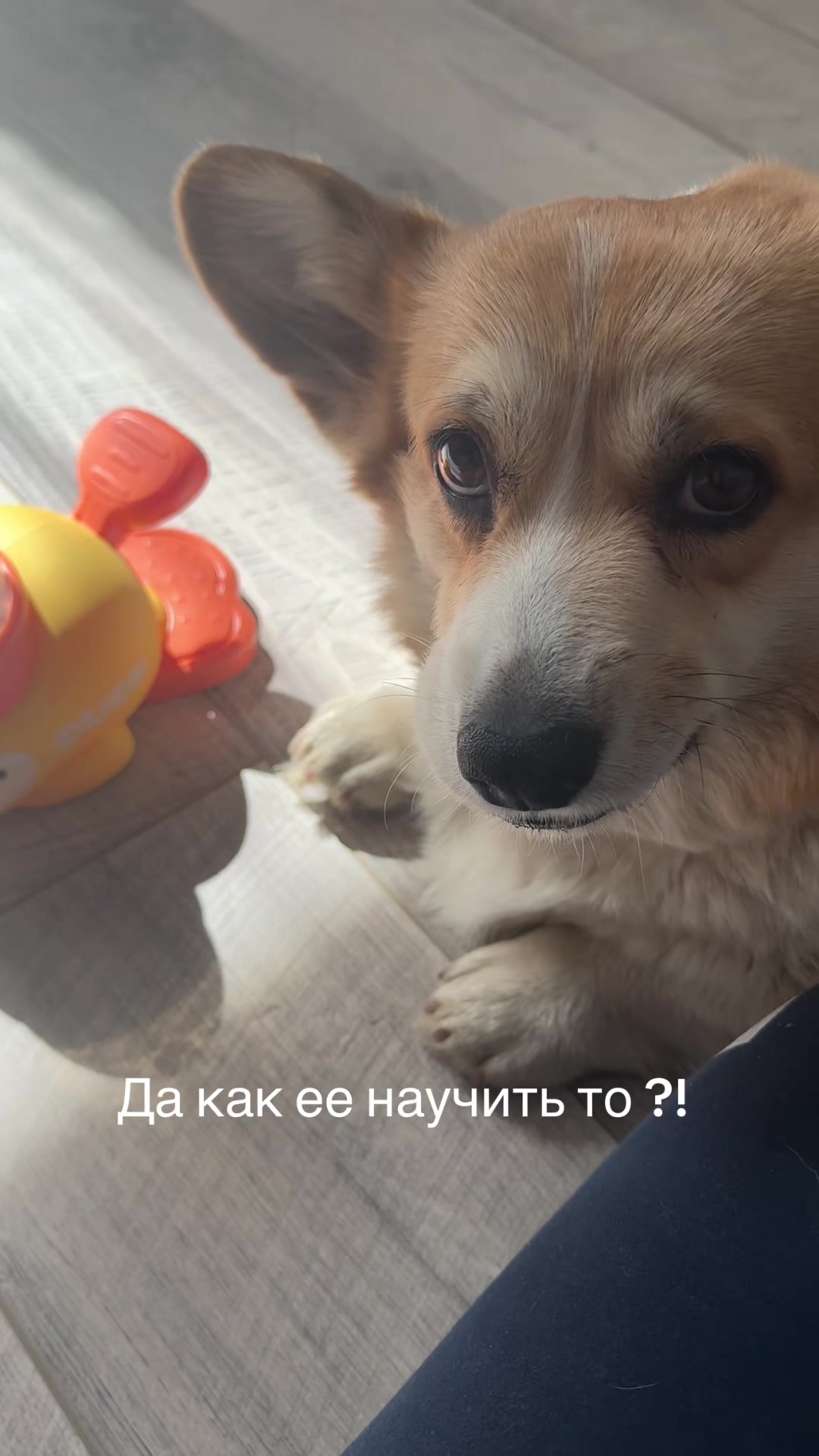 @Pandora&Umka