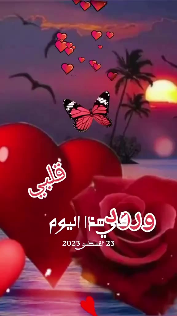 @🎀Nassma👑🇲🇦🦋