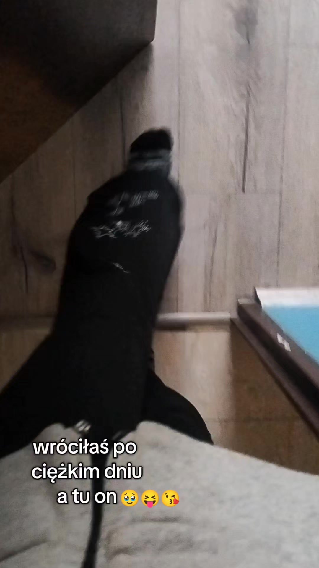 @ðð¢ð³ðµðªð¹ðŽ| ð&ððªœð¿ð¥¹