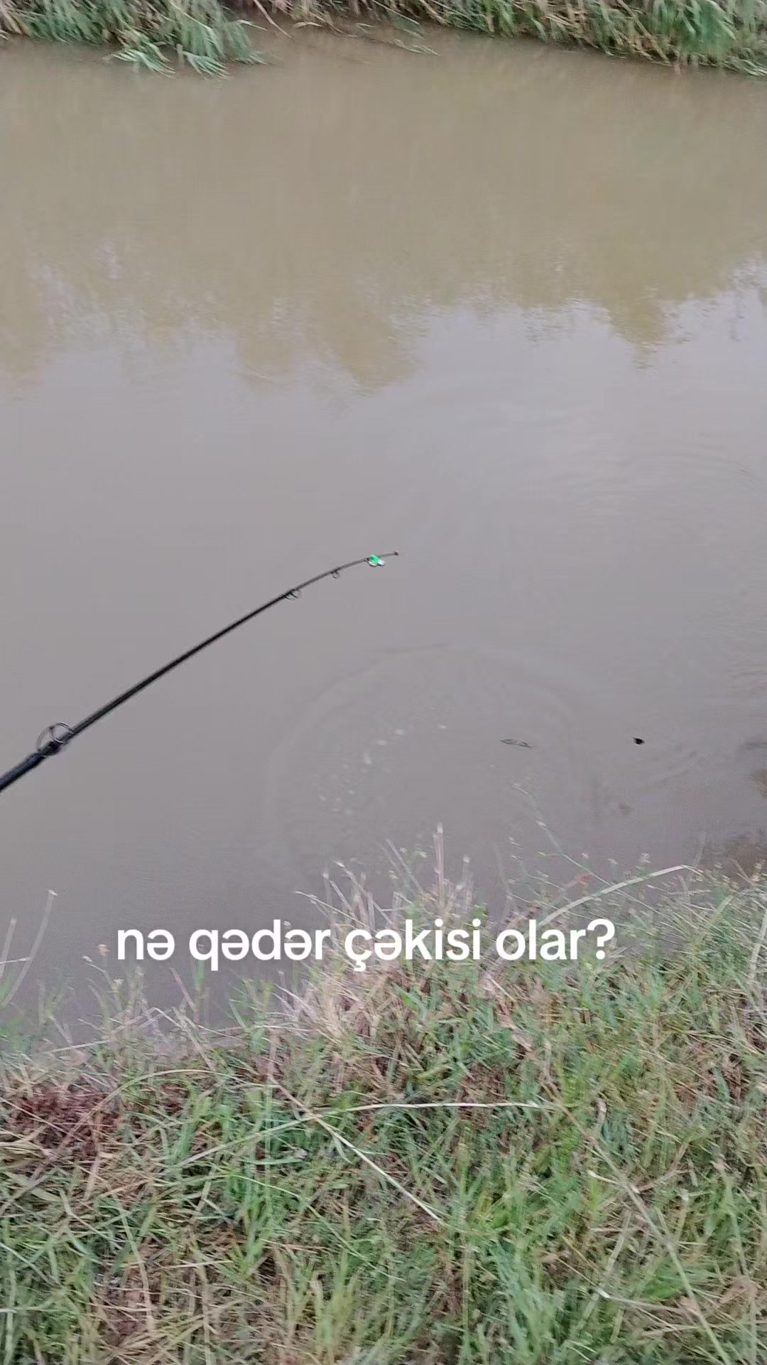 @Gündüz✅️
