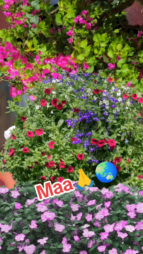@꧁𝐒𝐢𝐧𝐠𝐥𝐞 𝐛𝐨𝙮 ꧂