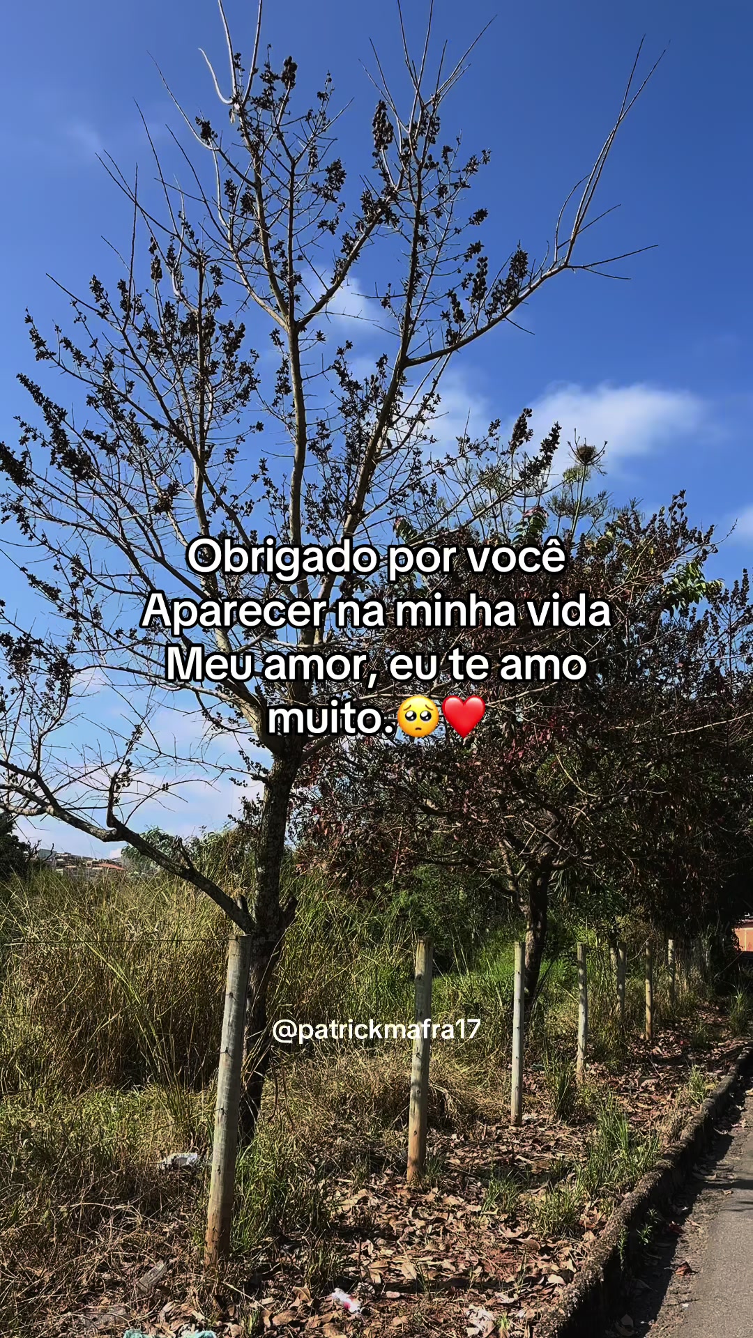 @Patrick mafra