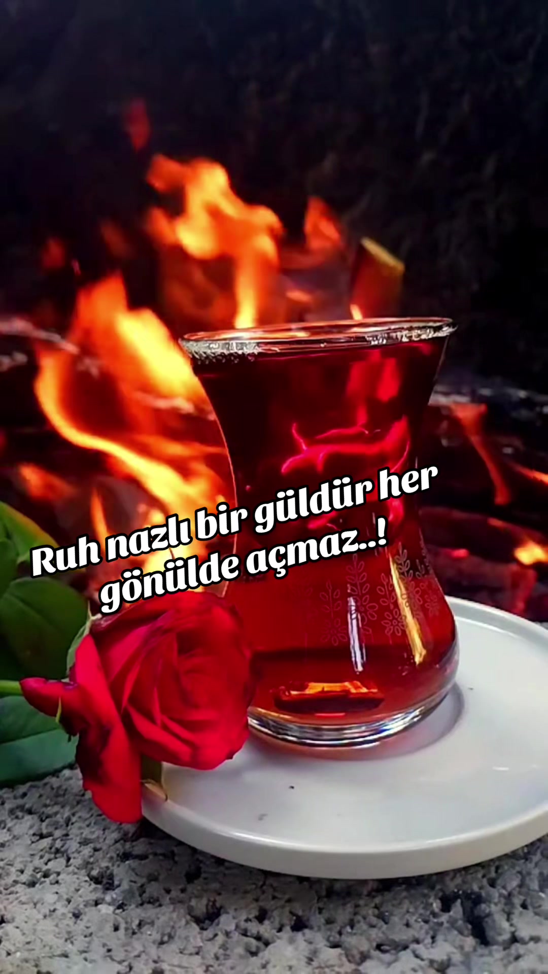 @💙🤍DADAŞ KIZI 25💙🤍