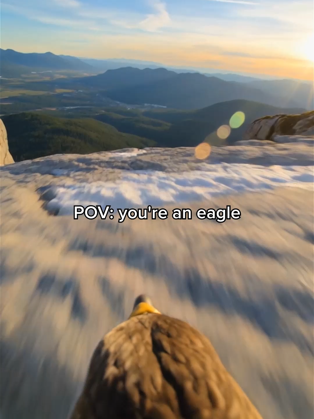 @ZooLogic