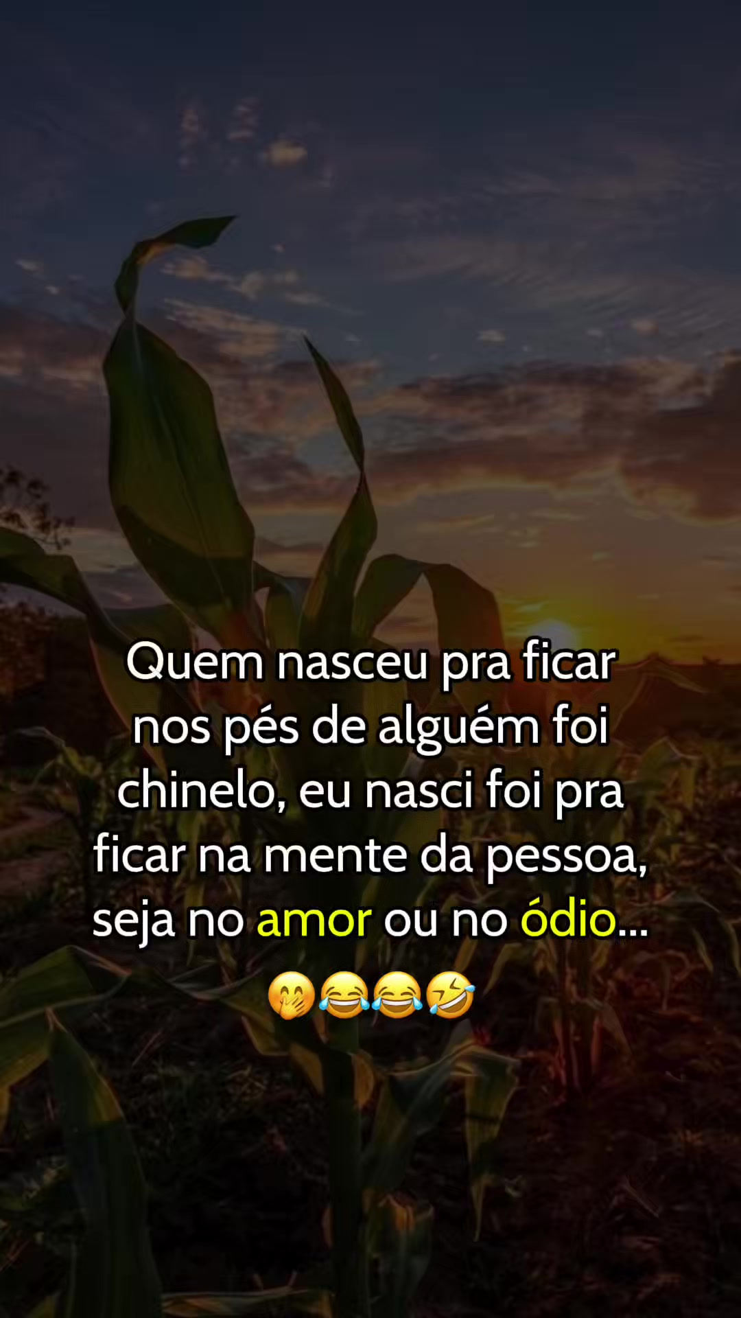 @Somodaogo