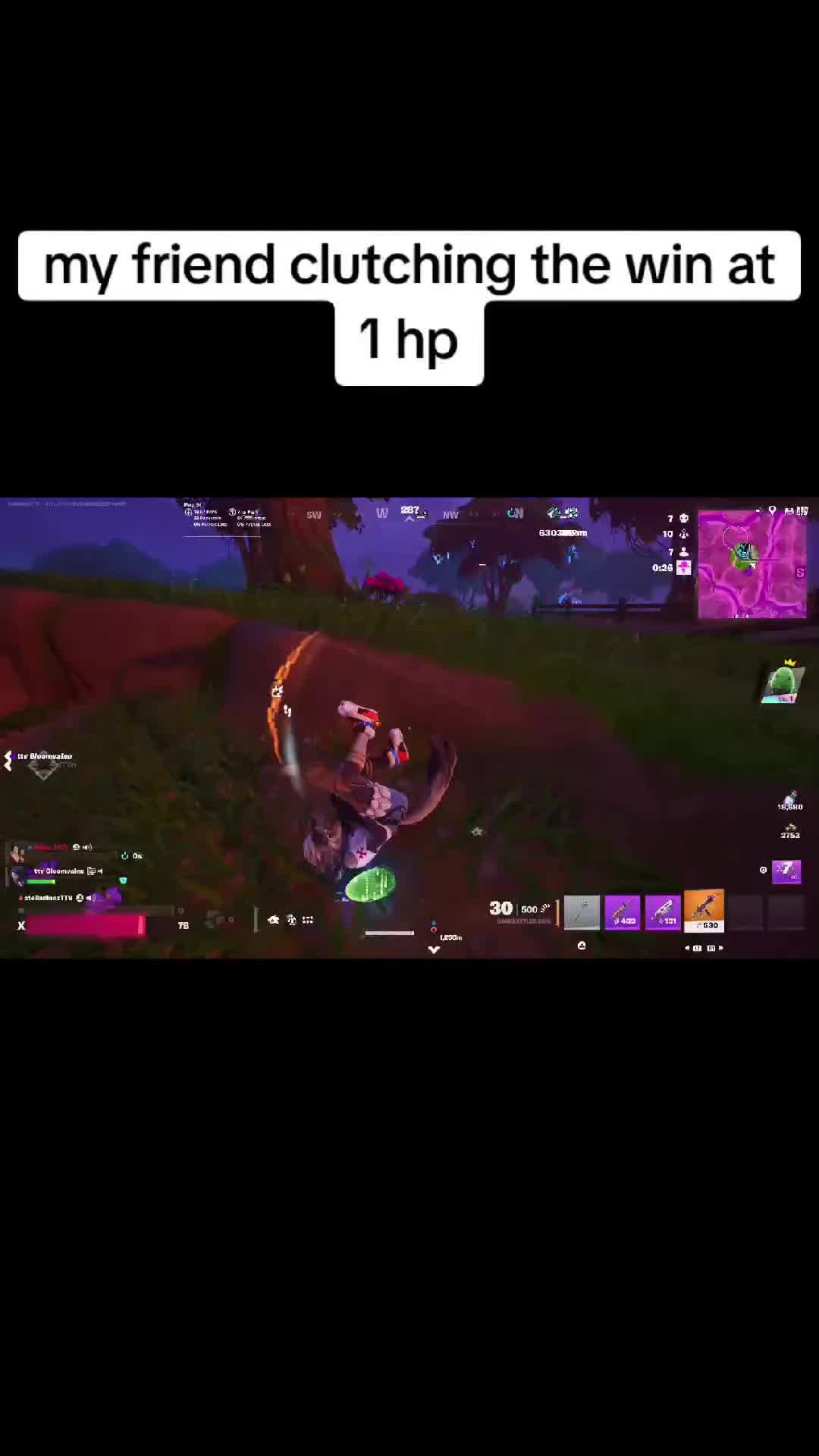 @StelladinozTTV 💕