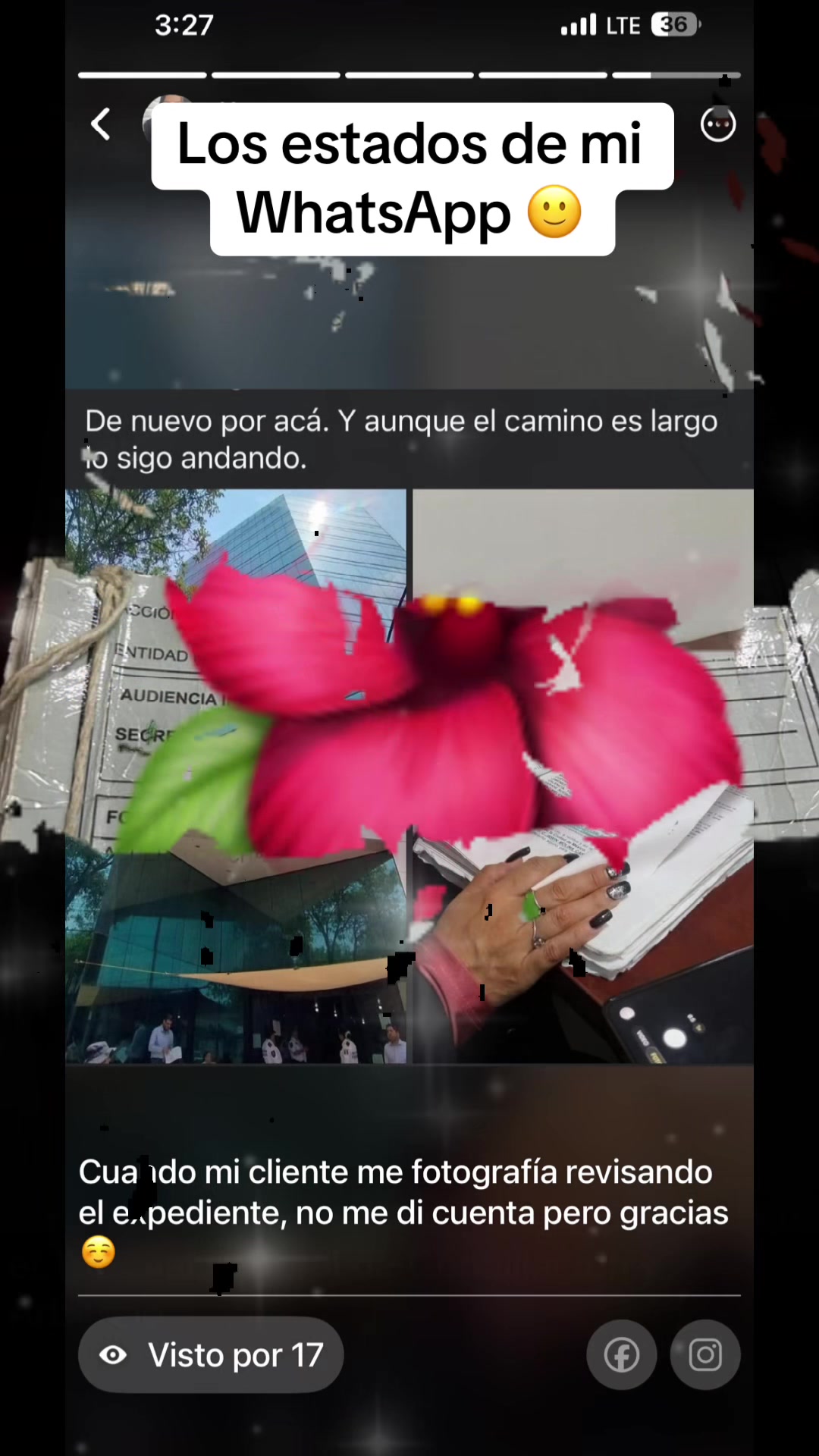 @Lic Liz Terrazas