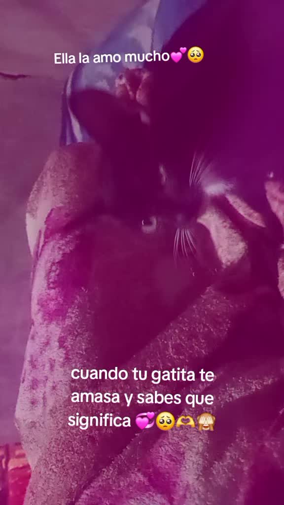 @Genesis ๐๐