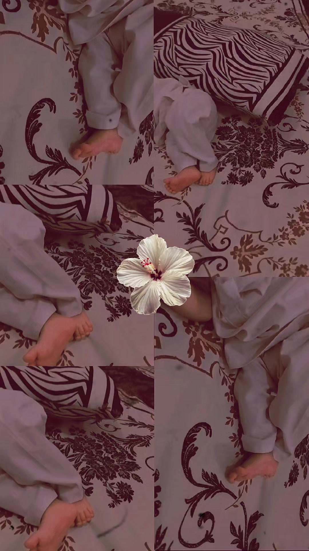 @احسن کی زوجہ 🫠👀
