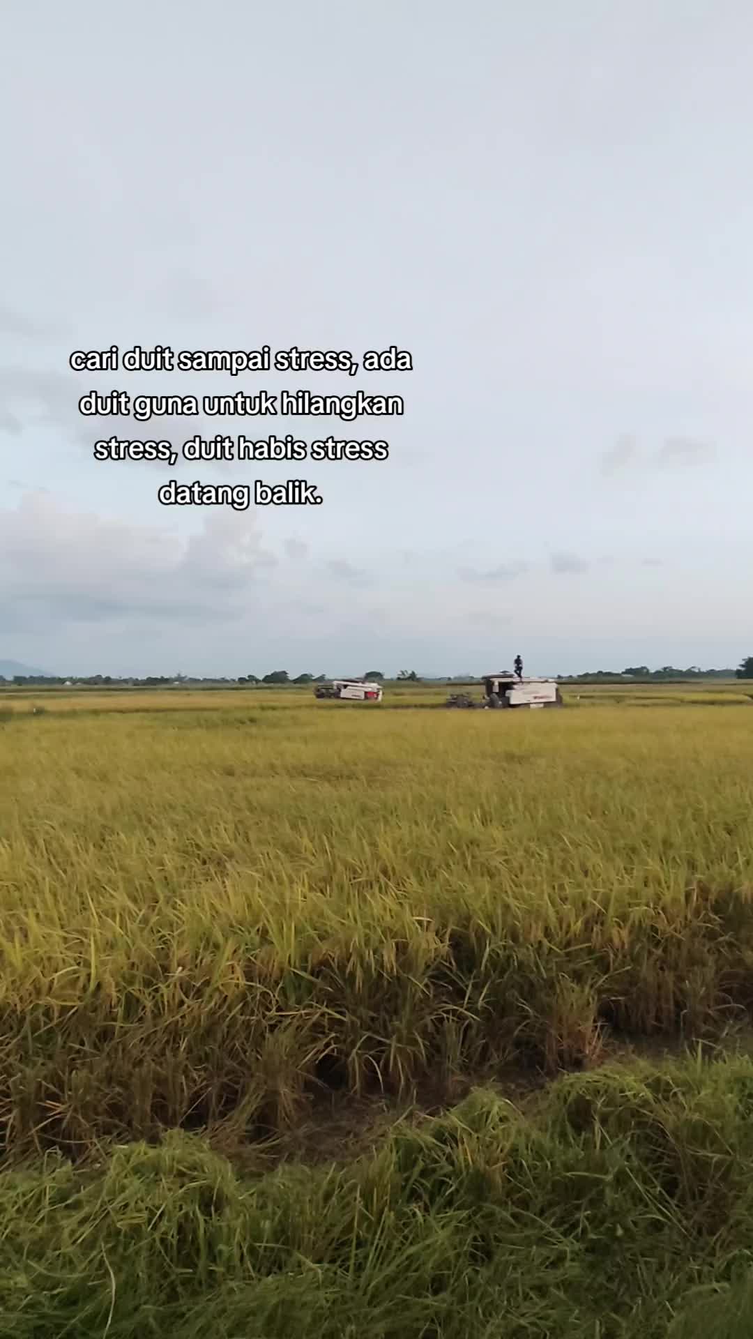 @FARISPAUPANAS