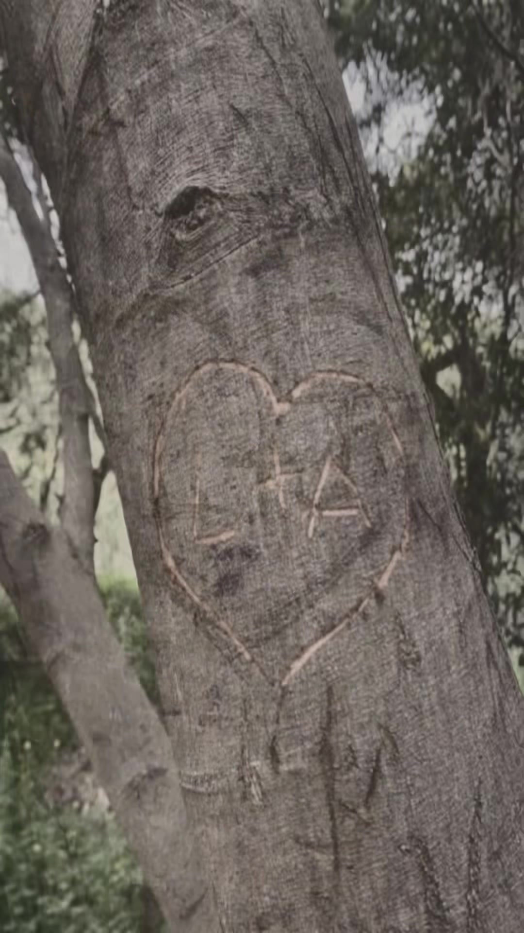 @ִֶָ. ..𓂃 ࣪ ִֶָ🦇་༘࿐