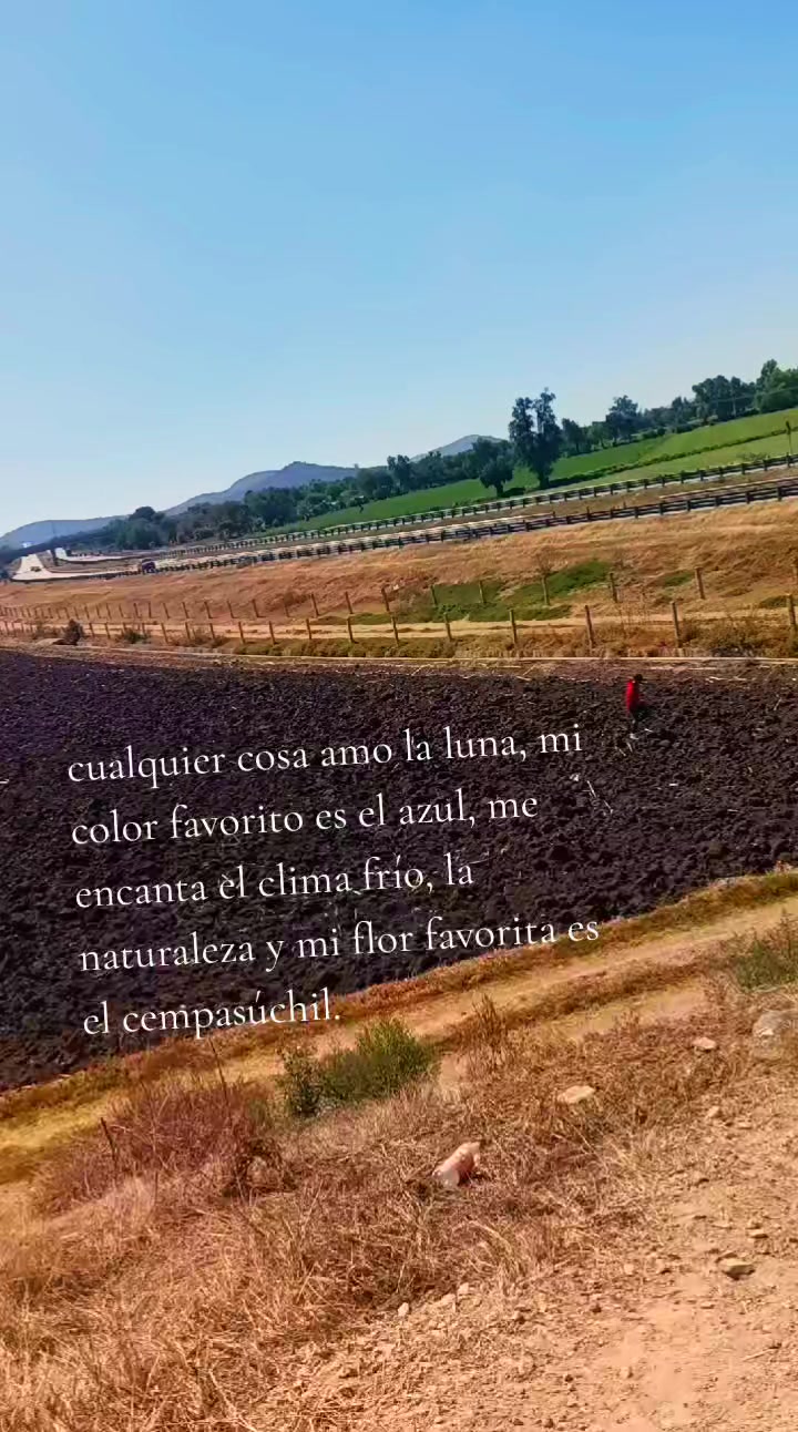 @assilem