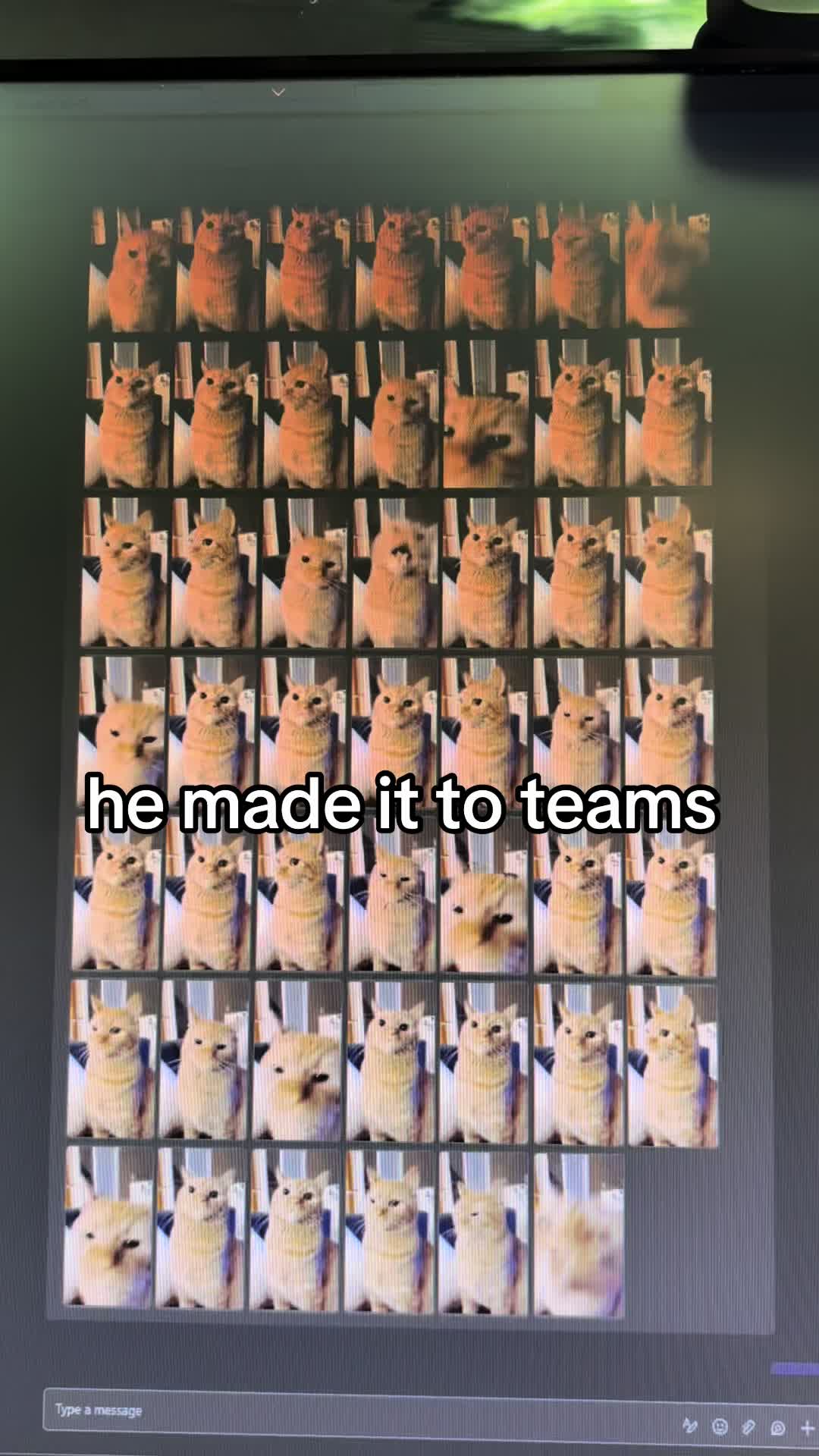 @defamatoryy