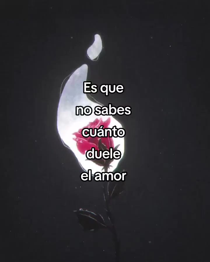 @Mr_frases