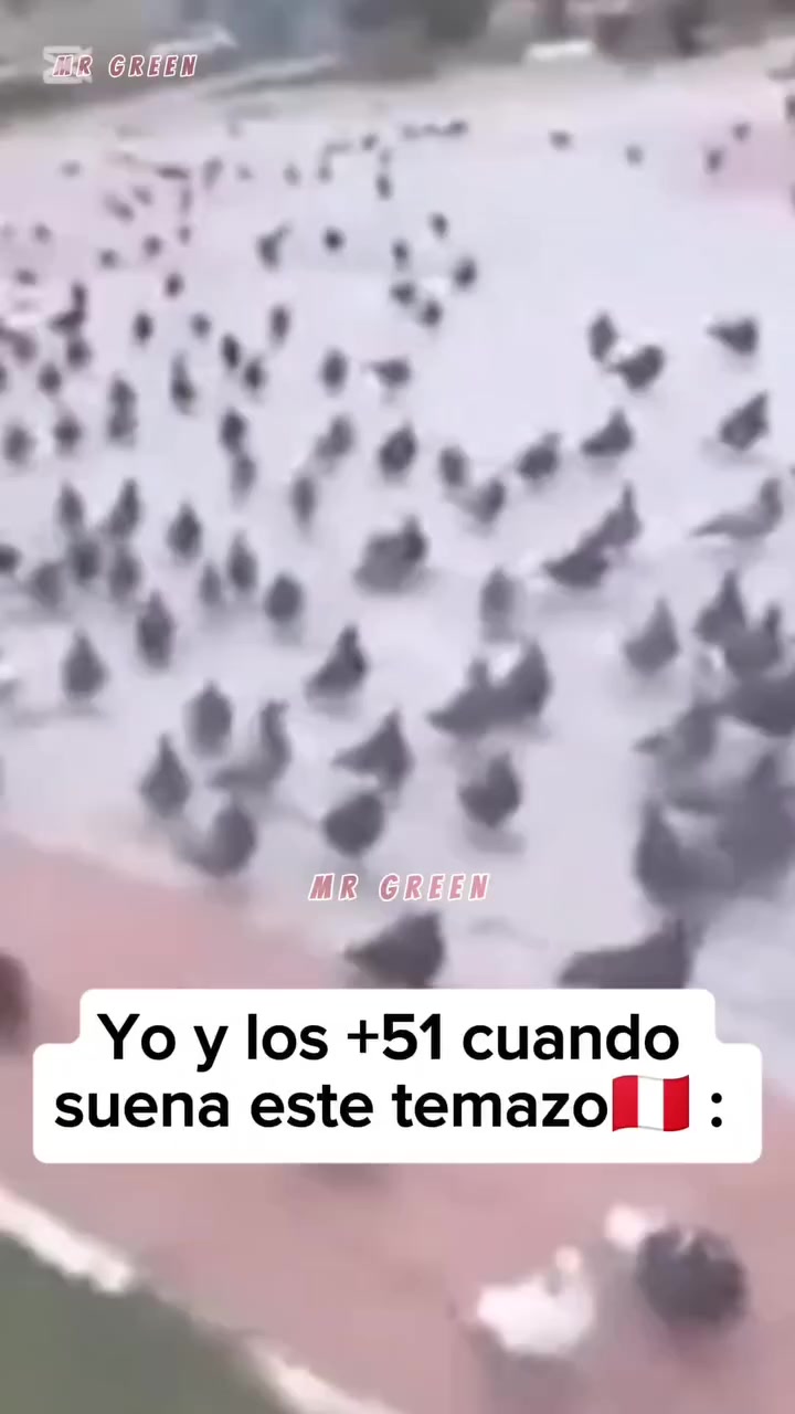 @Paul Rodr&iacute;🥶
