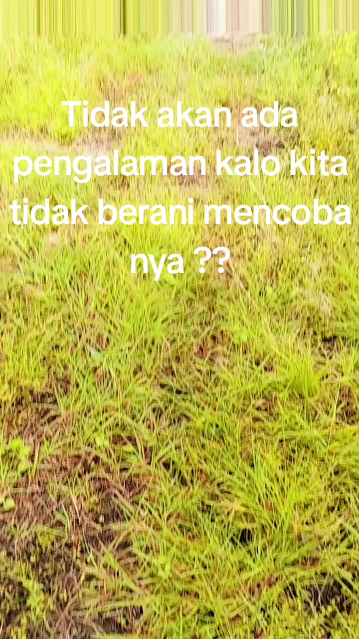 @saipulipul969