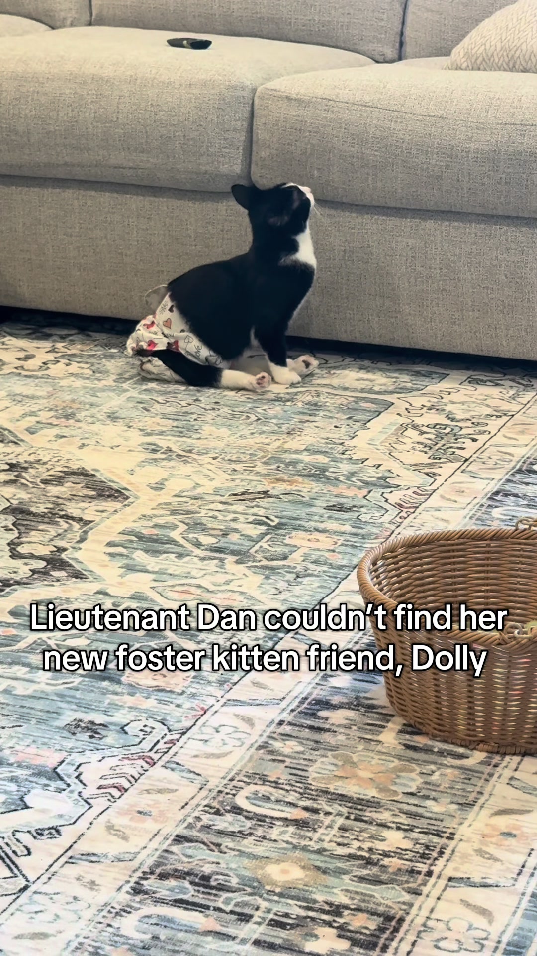@soccercatmom