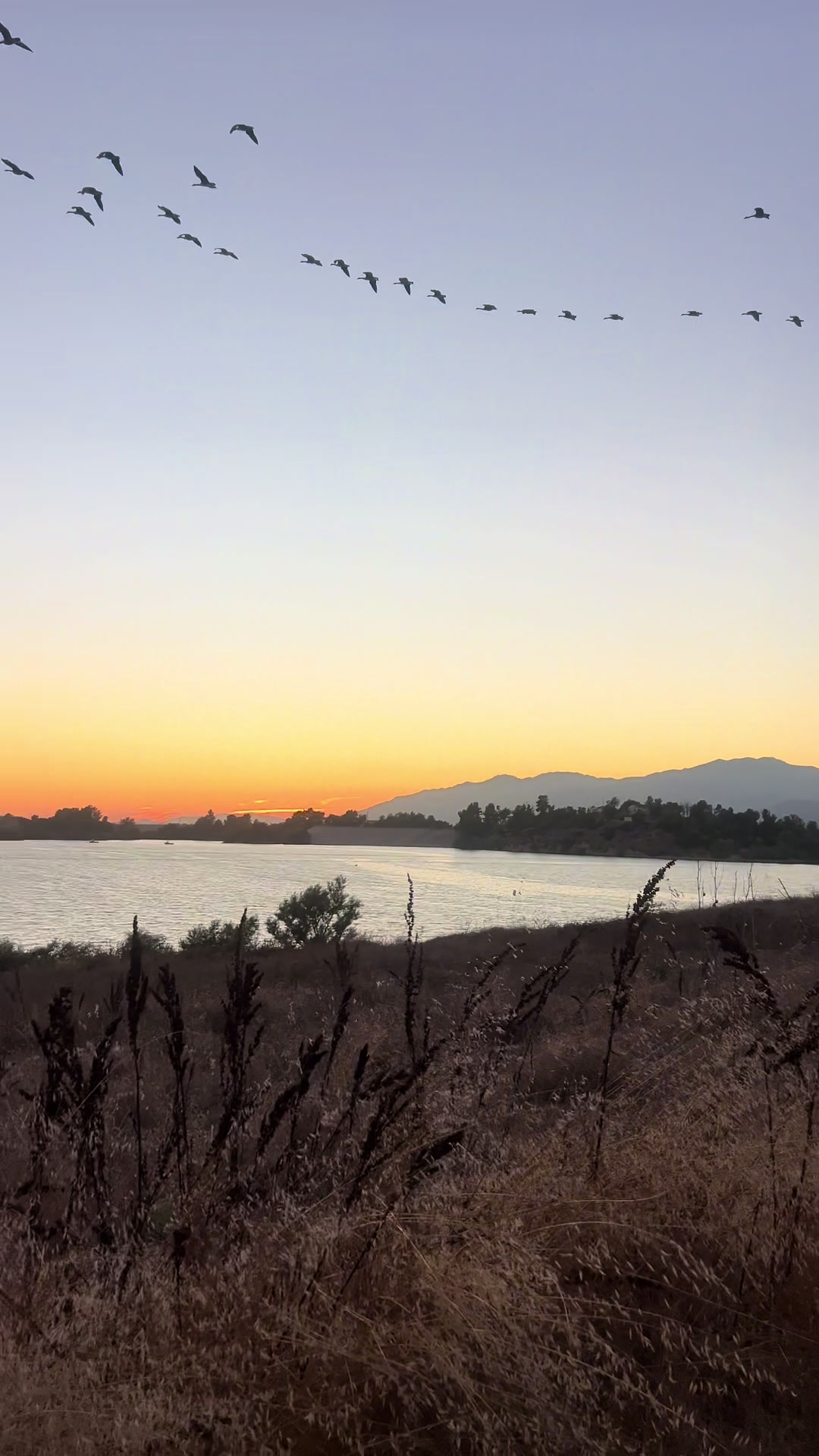 @socal.lifestyle1