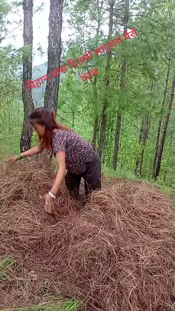 @Magarni fuchai sanu salyanni