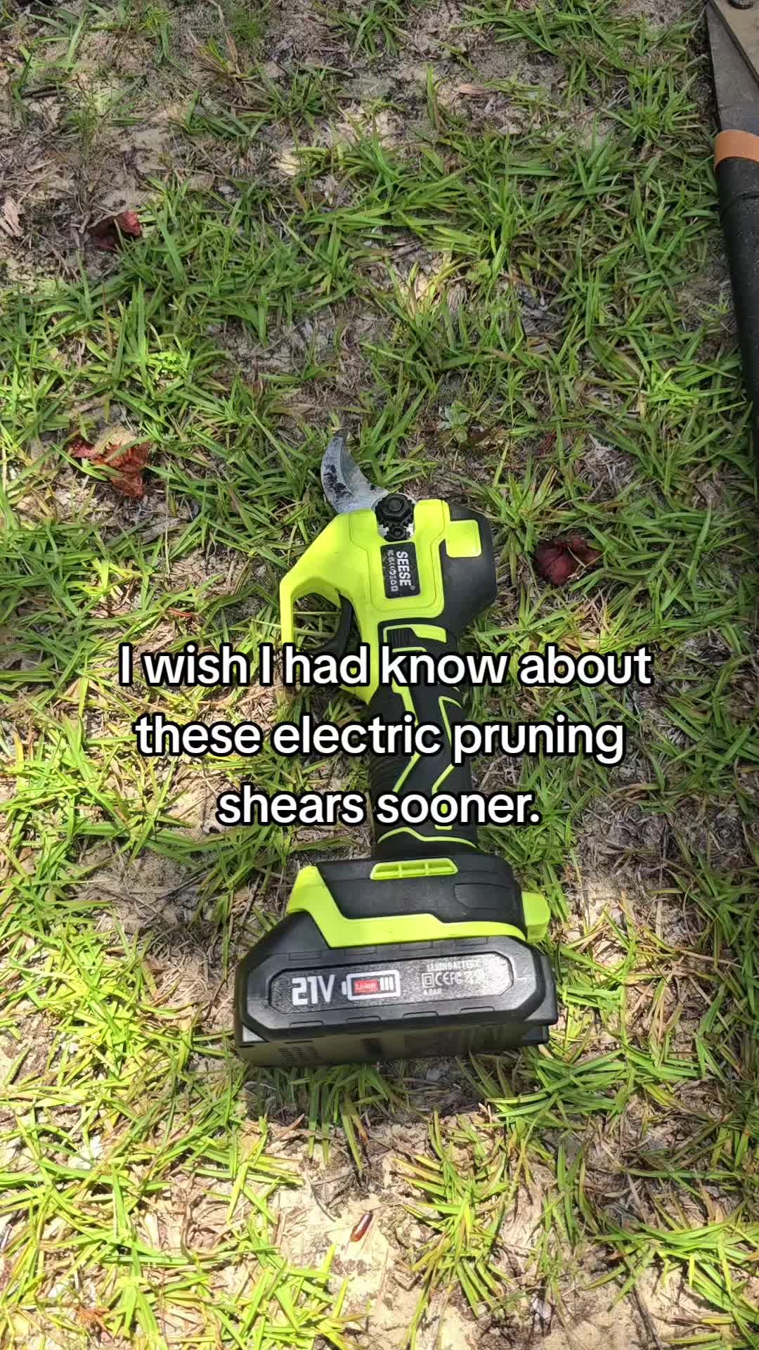 @shannonkough