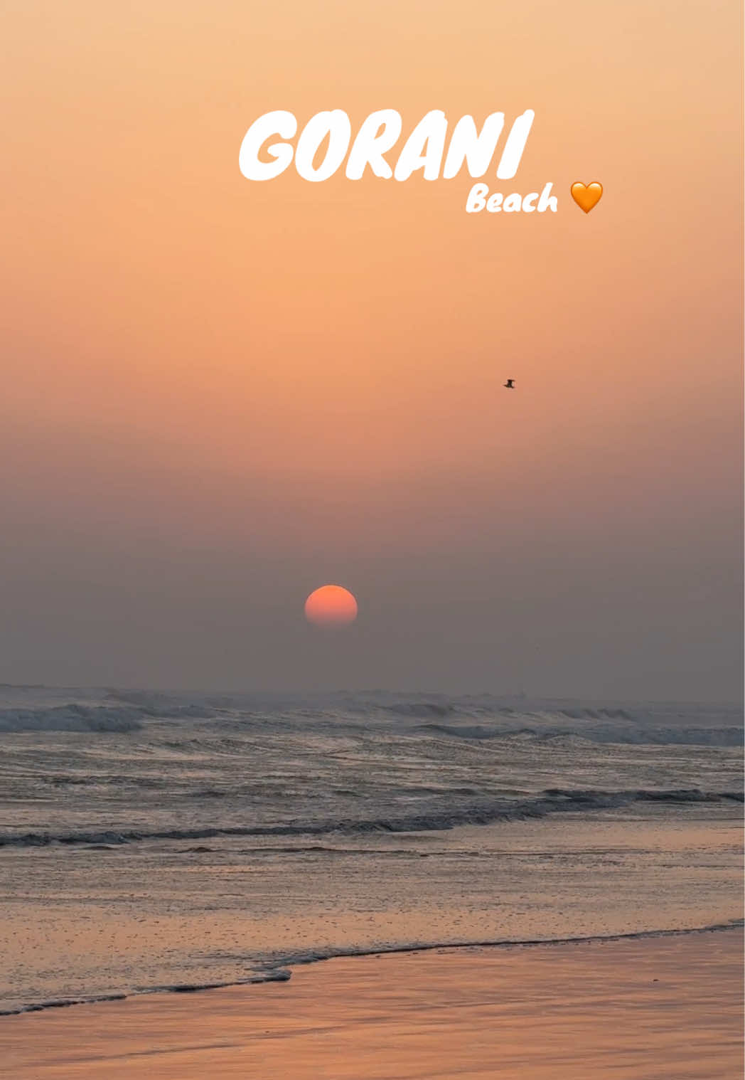 @Sangeen.Baluch17