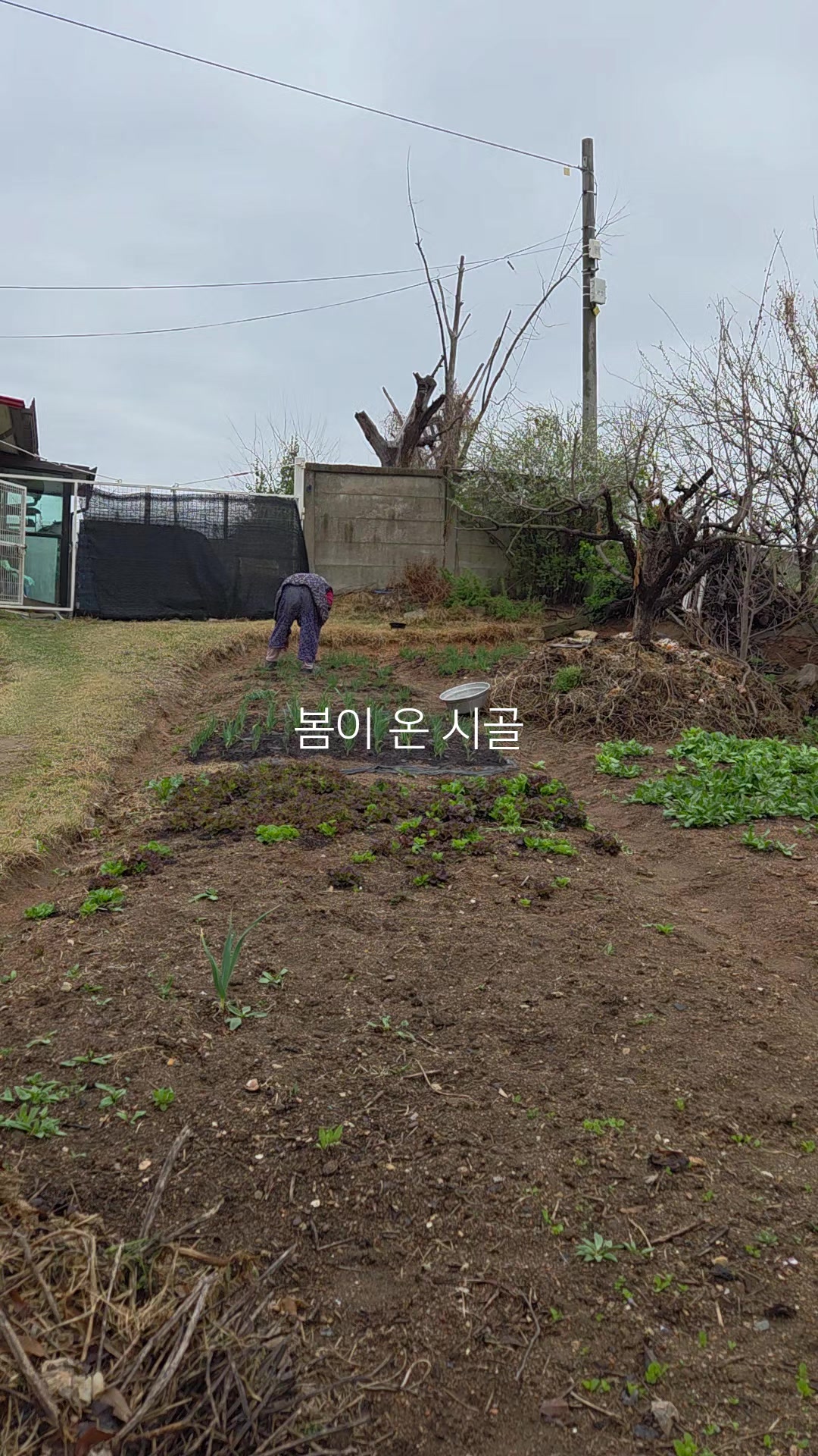 @성찬조