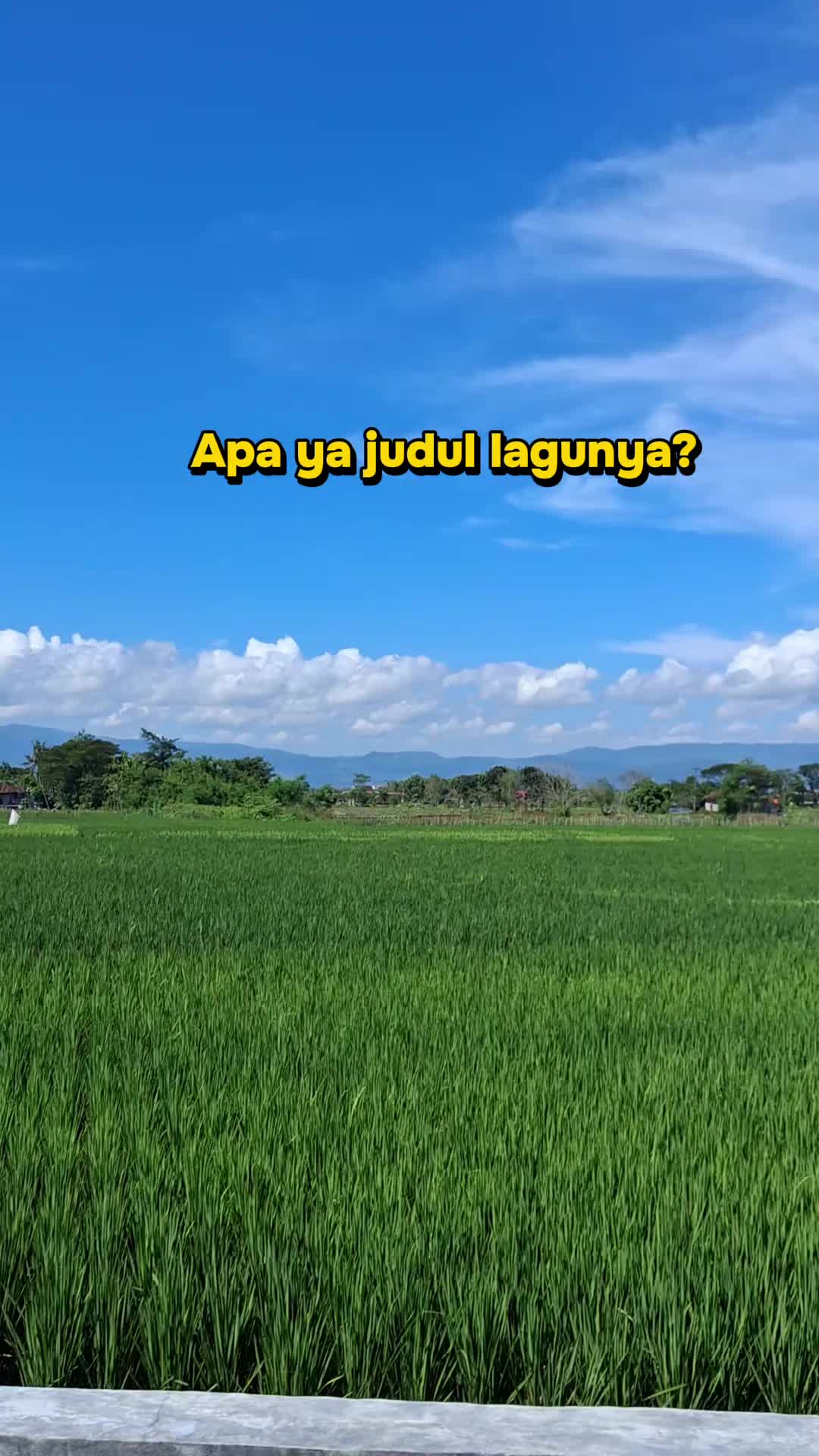 @rostikanoor