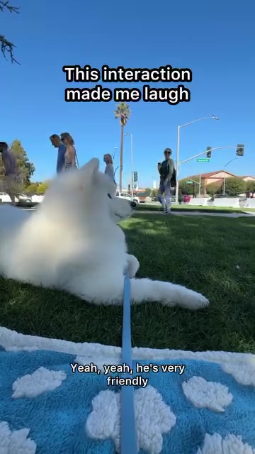 @littlebearlumi