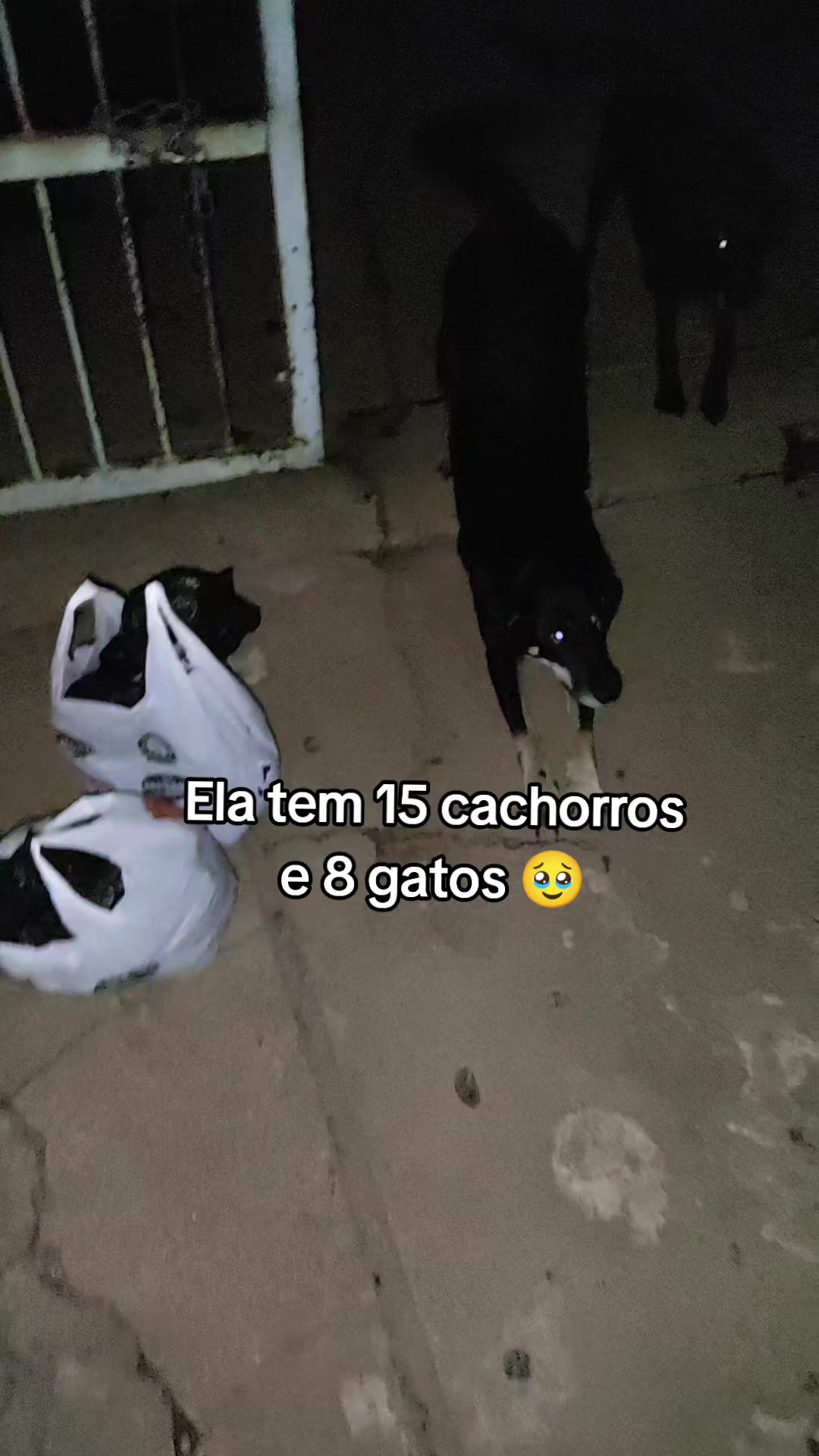 @Jana_016
