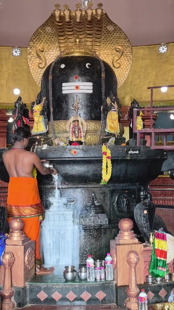 @🕉️ Om Namasivaya 🕉️