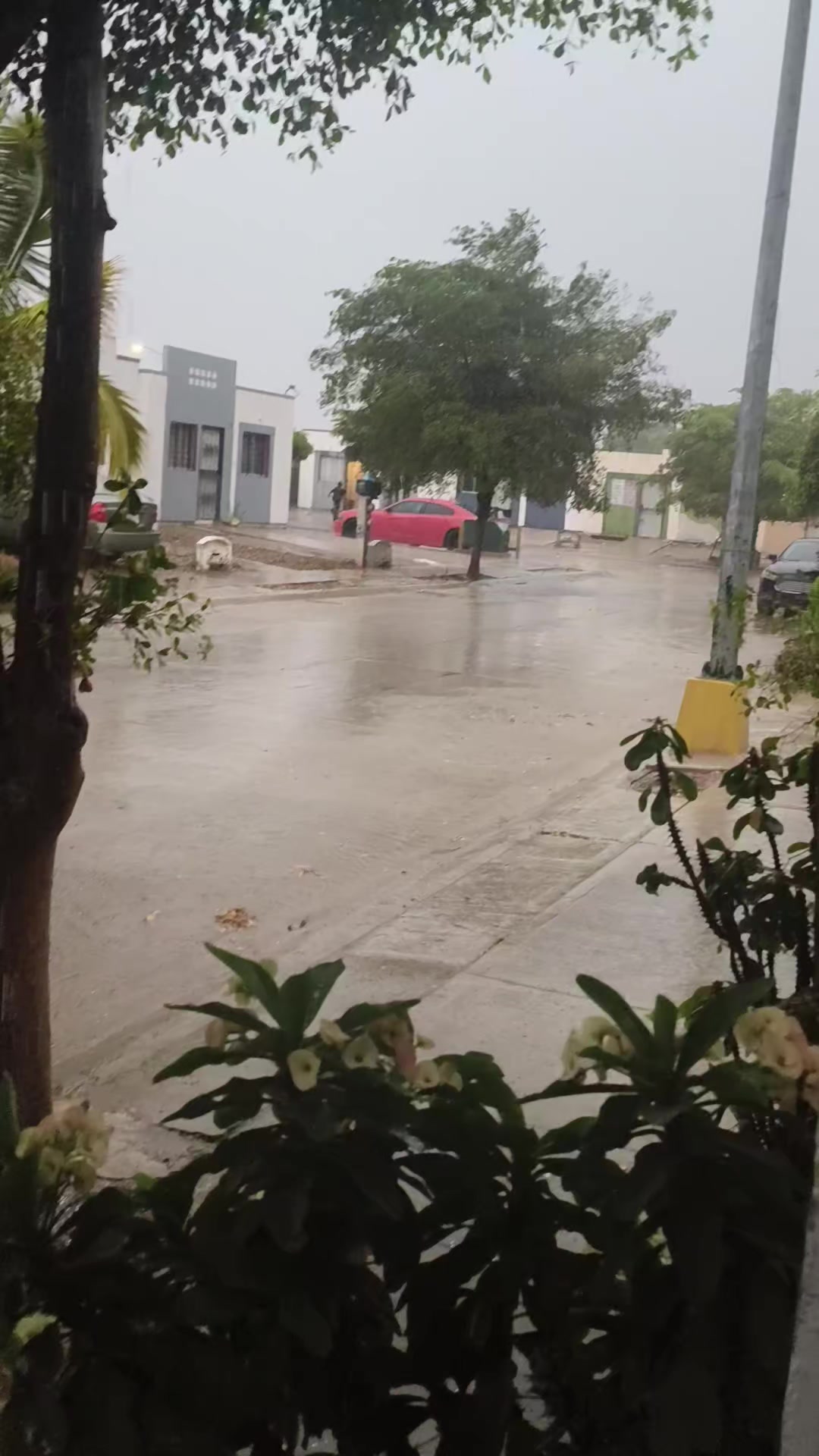 @Marlen Calderón
