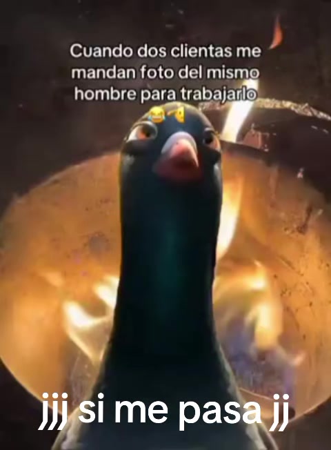 @Sofia Marin