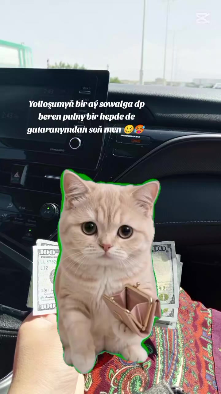 @โ๐น๐ฒ๐๐๐ค๐ค_๐๐๐๐๐๐โ