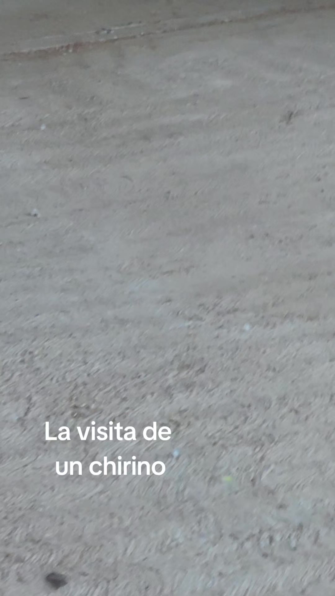@Oscar Guevara