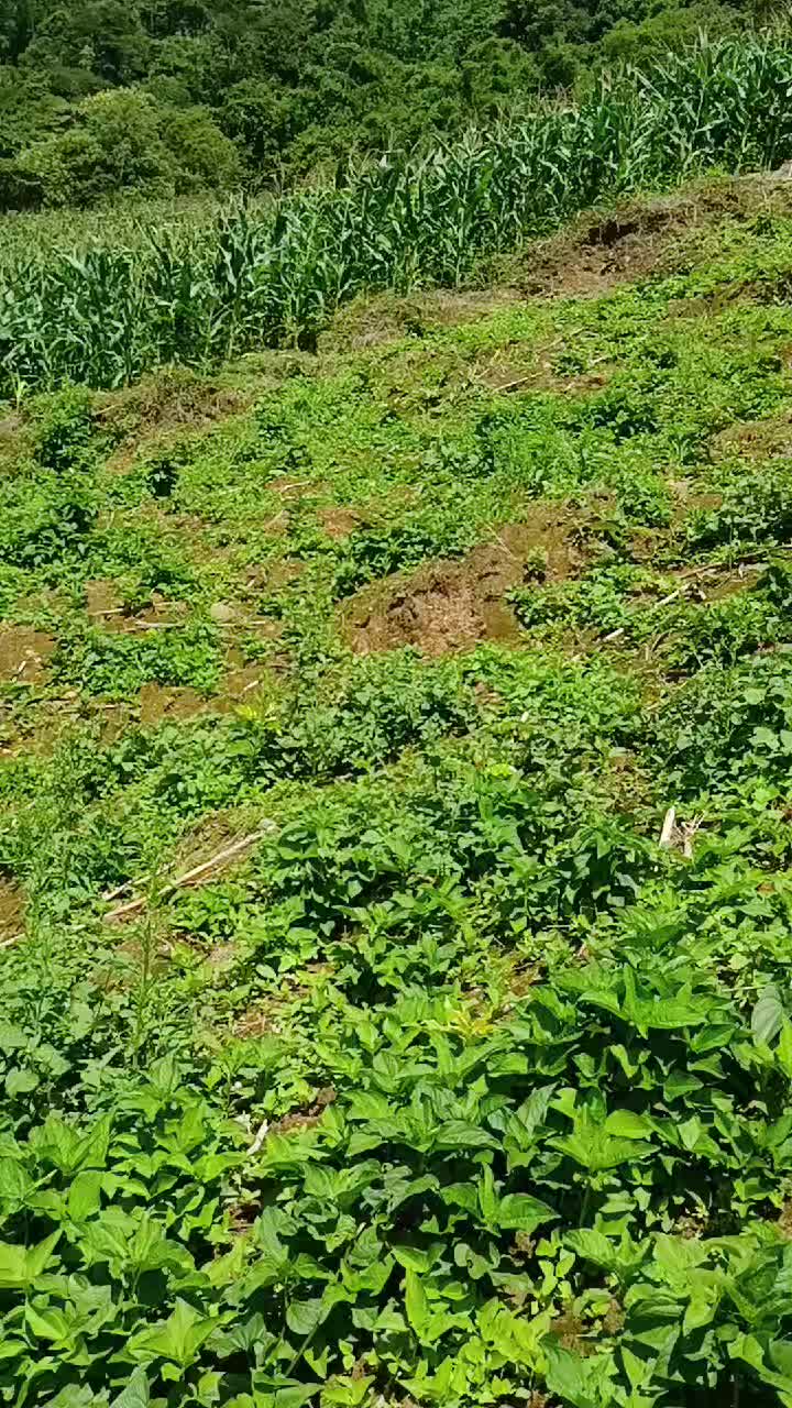 @CHẬM LẠI MỘT CH&Uacute;T🍀
