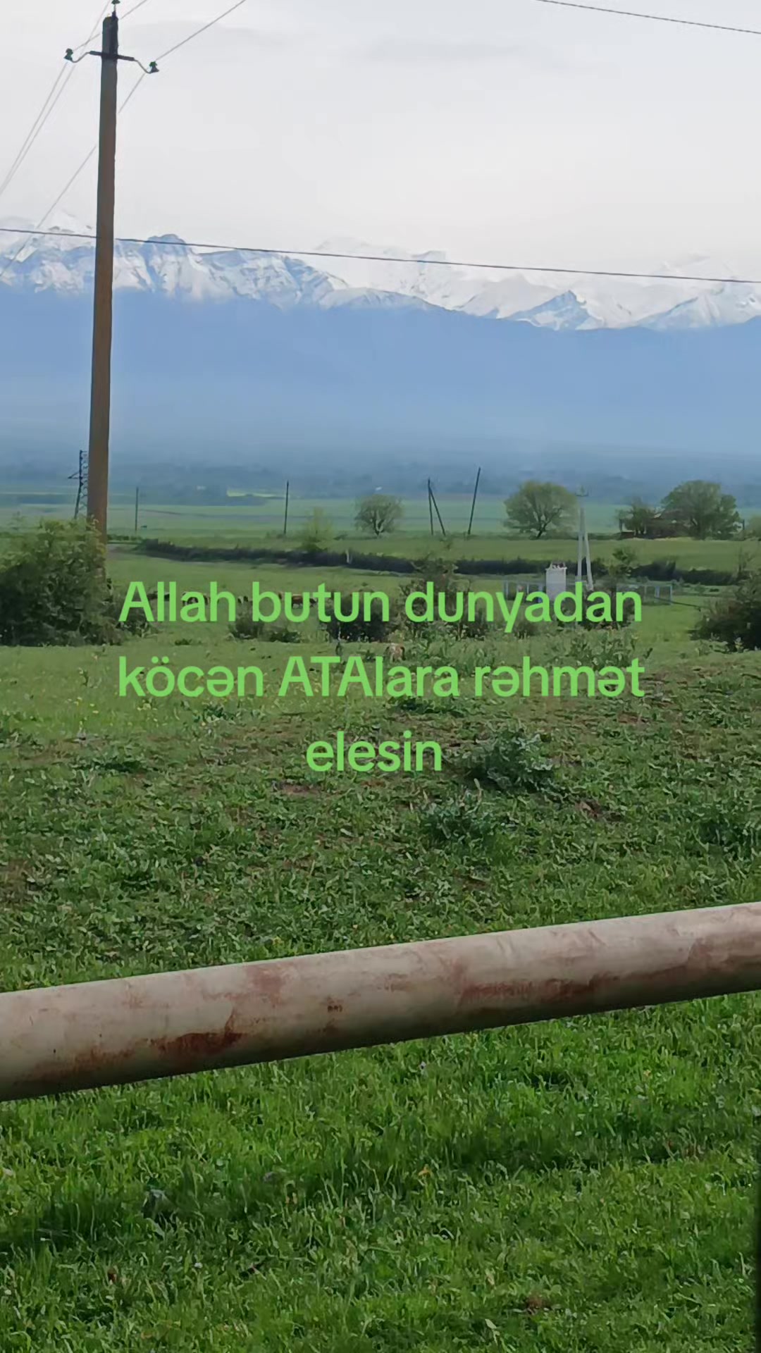 @Yusifzadələr2708