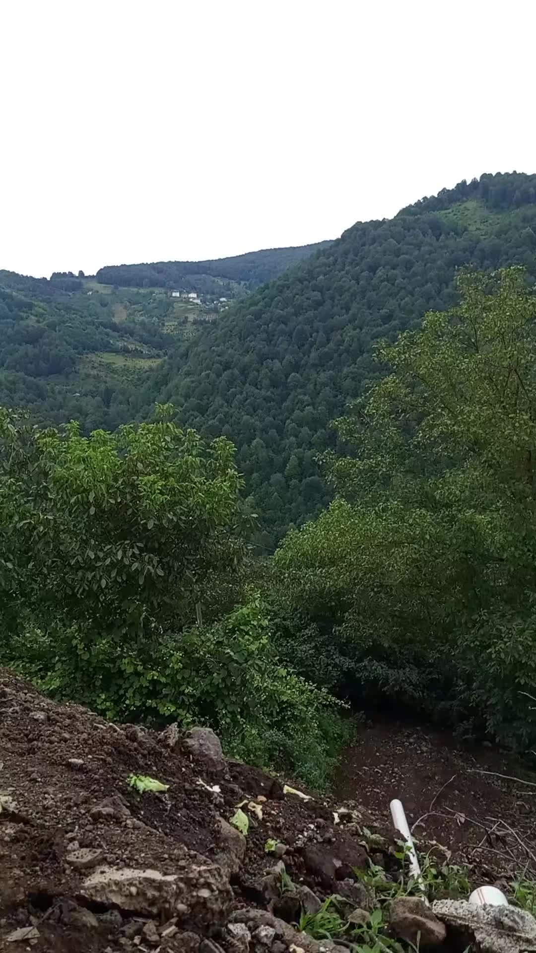 @𝓐𝓨𝓐𝓡𝓢𝓘𝓩