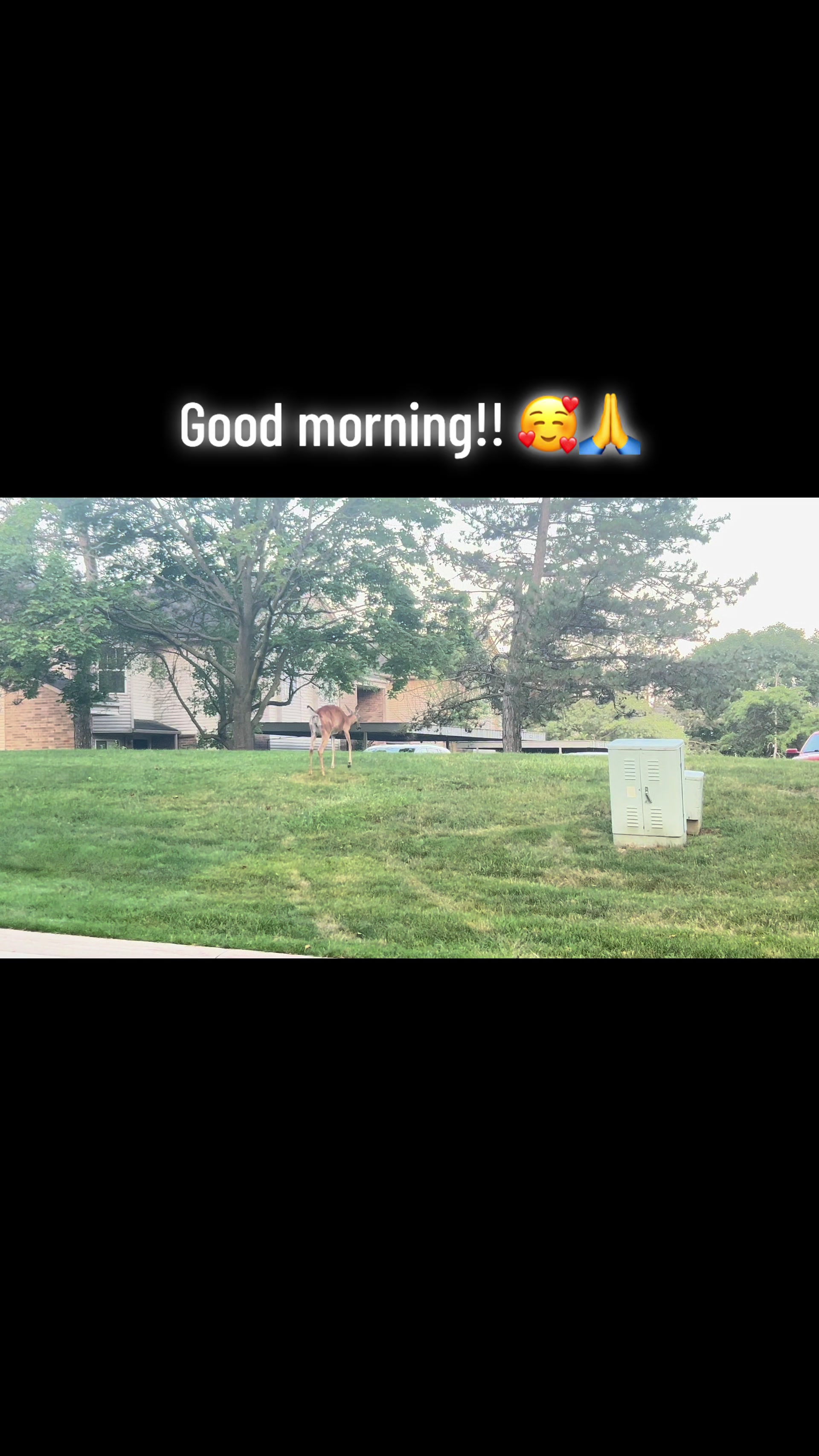 @𝒞𝒽&iacute;𝑜 𝐵𝓊𝒷𝓊𝓁𝓊𝒷𝓊𝑒𝓃𝒶