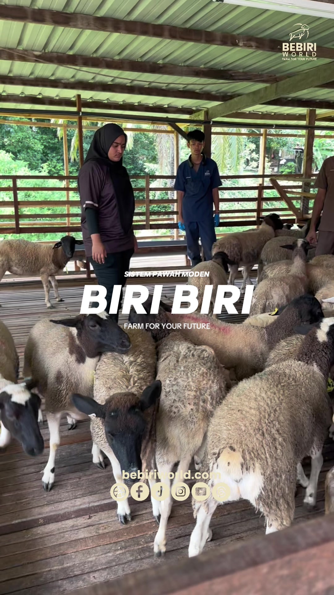 @bebiriworldempire