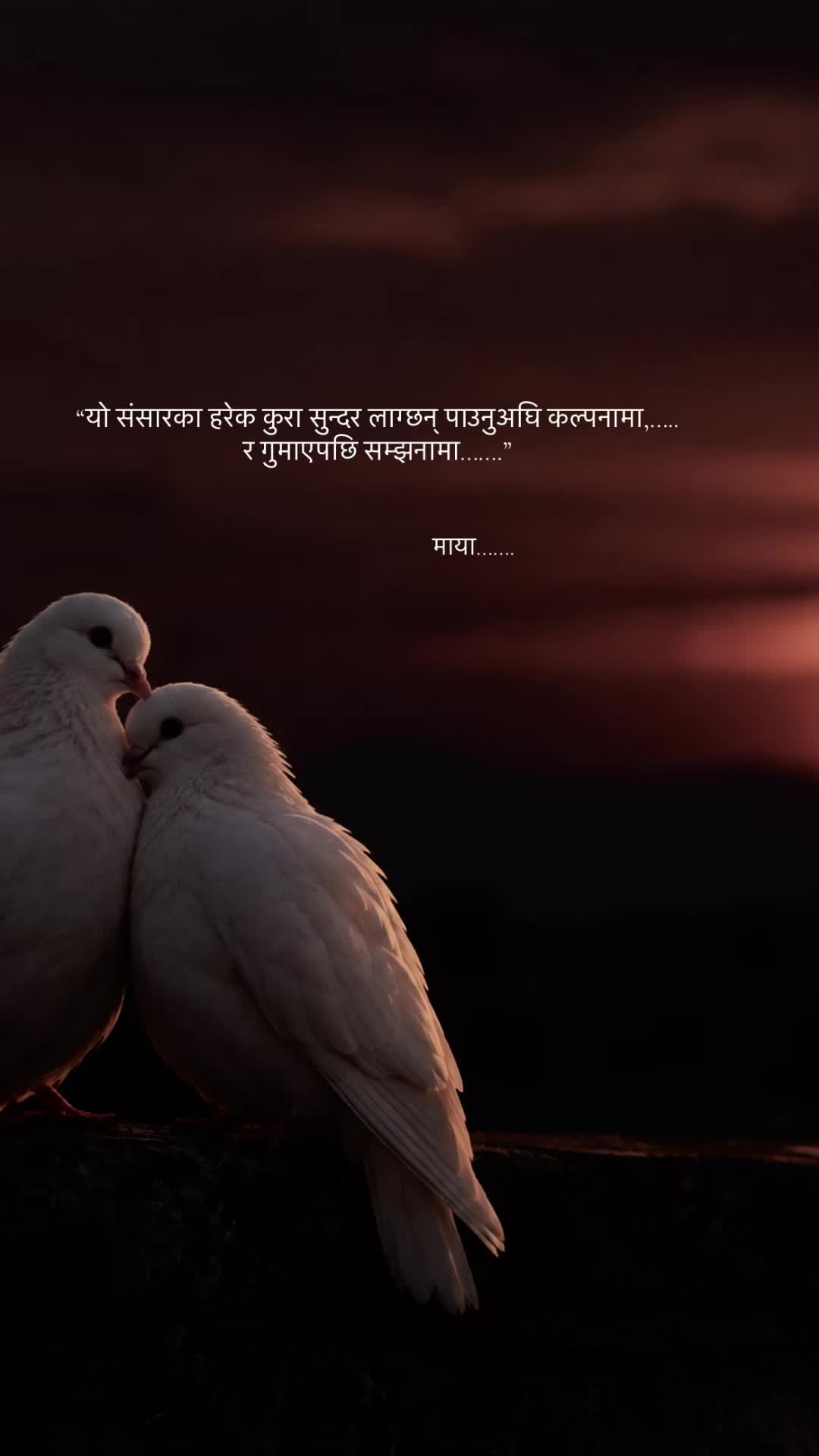 @माया&hellip;&hellip;..
