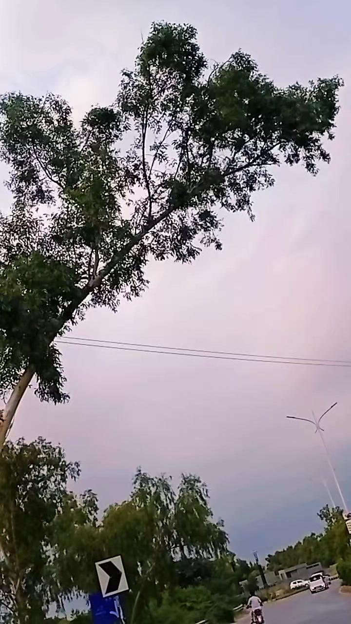 @bushra afridi😍