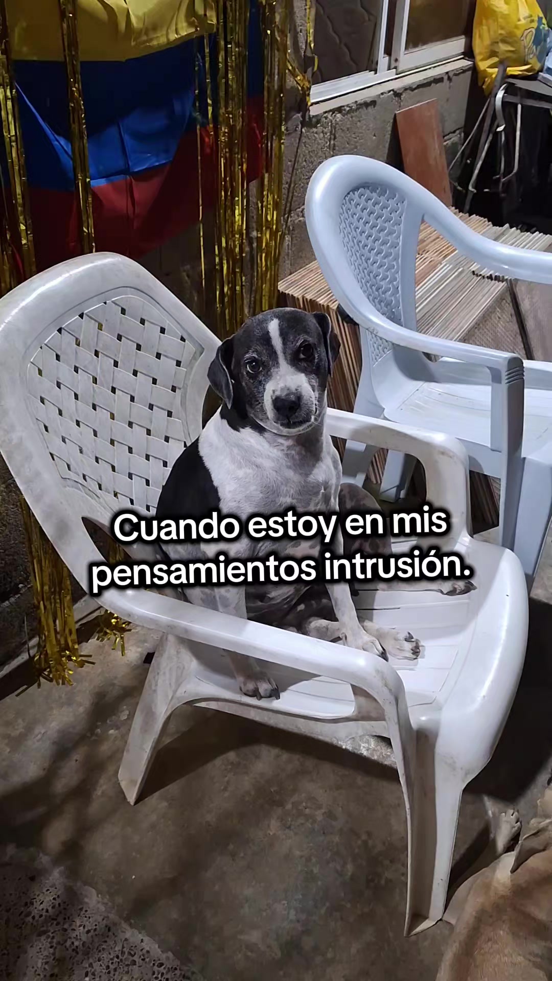 @MANCHAS 0714 OFICIAL